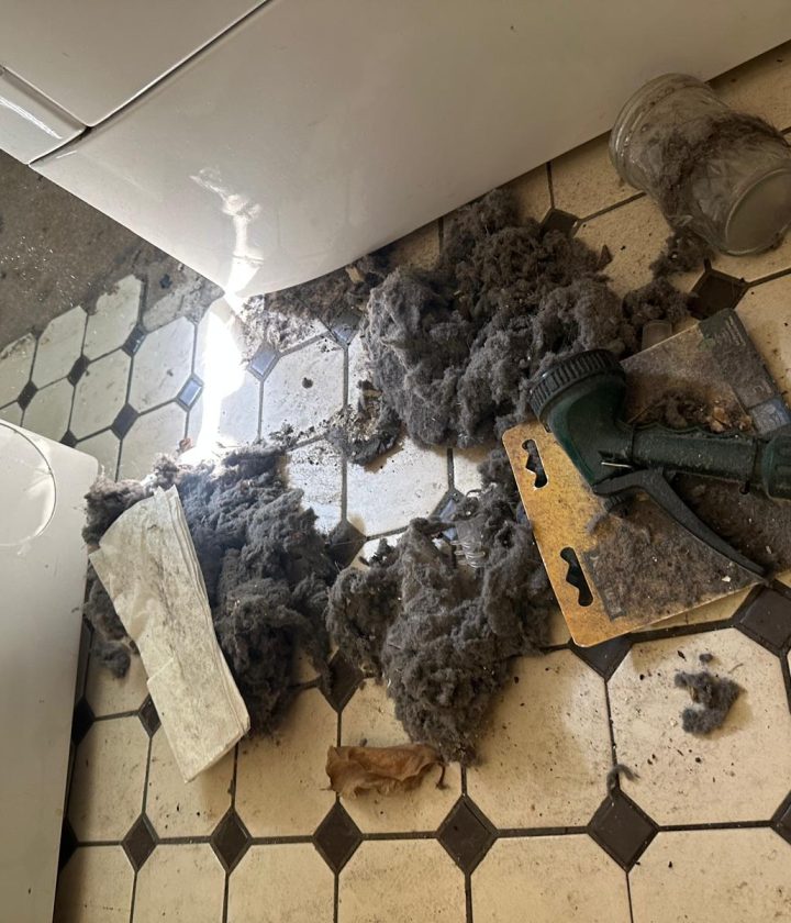 cleaning-first-class